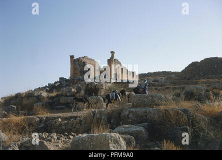 Jordanien, Beduinen und Esel in der Nähe der Tempel des Zeus, an der alten römischen Stätte Jerash, 48 km nördlich von Amman, einer der größten und am besten erhaltenen Stätten der römischen Architektur in der Welt heute außerhalb Italiens. Stockfoto