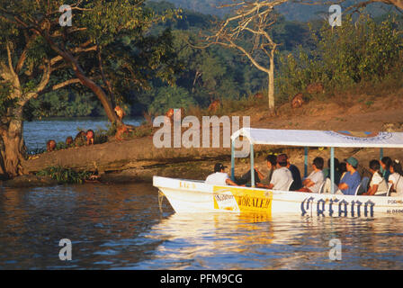 Mexiko, Golfküste, Tanaxpillo Insel, Touristen in einem Boot auf der Suche nach Gruppe von Makaken auf der Insel. Stockfoto