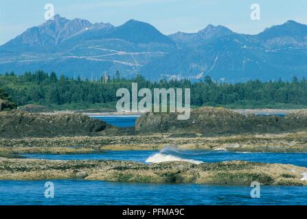 Kanada, British Columbia, langer Strand, Fluss, Inseln und Buchten im Pacific Rim National Park Stockfoto