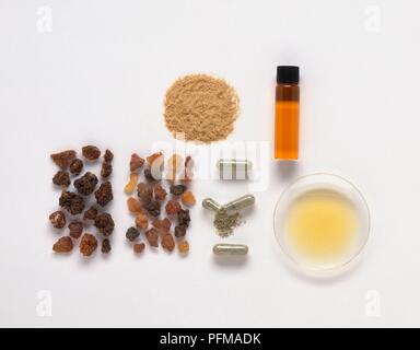 Myrrhe (Commiphora molmol), mo Yao und solide Harz aus den Schnitt gemacht und getrockneten Stämme, Pulver, Kapseln, eine gebrochene offenbart das Pulver, gelb Tinktur in ein Glas Petrischale und wesentliches Öl in einer Durchstechflasche aus Glas Stockfoto