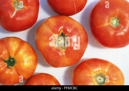 Solanum Lycopersicum, rote Tomaten, Ansicht von oben Stockfoto