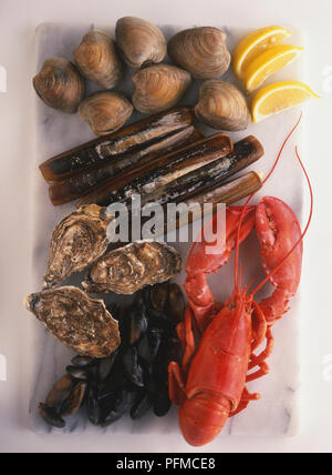 Platte mit Meeresfrüchten, bestehend aus razor Muscheln, Muscheln, Austern, Hummer und Muscheln, garniert mit Zitronenscheiben, Ansicht von oben.