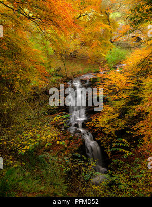 Scaleber Kraft in der Nähe von Settle, North Yorkshire Stockfoto