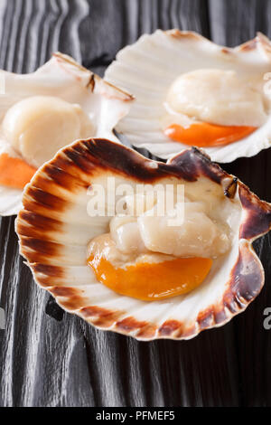 Meer essbaren Muscheln roh Jakobsmuscheln in der Schale close-up auf einem Schwarzen Tisch. Vertikale Hintergrund Stockfoto