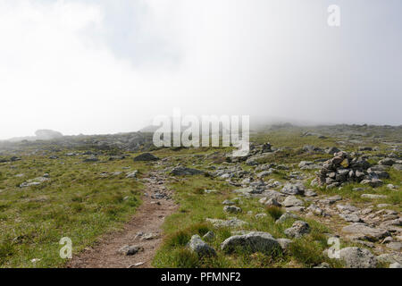 Nebligen Wetter entlang der Appalachian Trail (gulfside Trail) in der Nähe von Mount Clay in Thompson und Meserve der Kauf der New Hampshire White Mountains dur Stockfoto