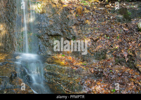 Kleinen Bach entlang der Lincoln Woods Trail in Lincoln, New Hampshire USA. Stockfoto