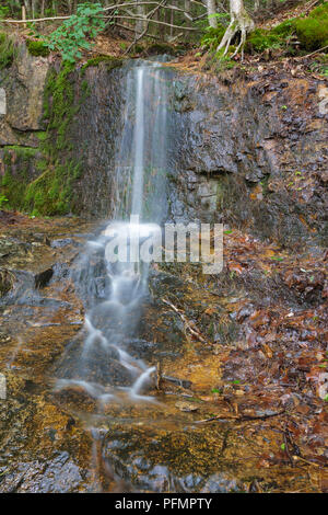 Kleinen Bach entlang der Lincoln Woods Trail in Lincoln, New Hampshire USA. Stockfoto