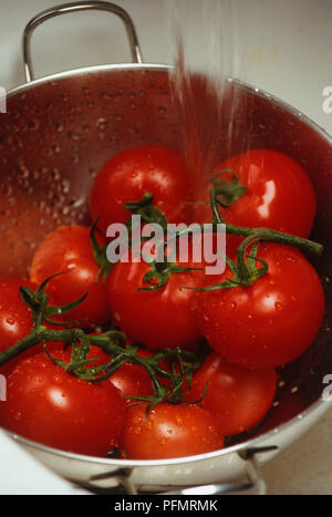 Nahaufnahme von roten Rebsorten Tomaten in einem Sieb nach dem Spülen unter Wasser. Wassertropfen liegen auf die Tomaten und die Stiele. Stockfoto