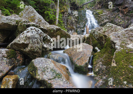 Cascade on Silver Cascade Bach auf der Seite des Webster-Jackson Trail in der Hart-Standort der New Hampshire White Mountains. Stockfoto