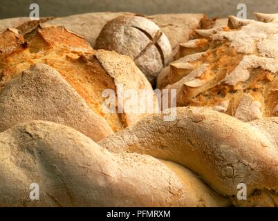 Frisch gebackene Land Brote, close-up Stockfoto