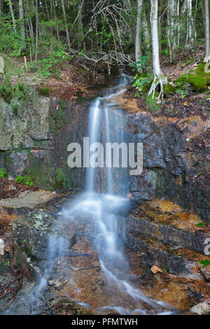 Kleinen Bach entlang der Lincoln Woods Trail in Lincoln, New Hampshire USA. Stockfoto