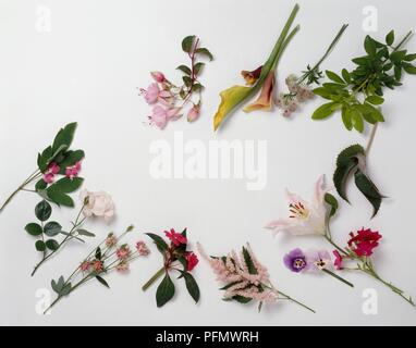 Rosa, Rot, Violett und Weiß Blumen und grüne Blätter auf Stammzellen Stecklinge Stockfoto