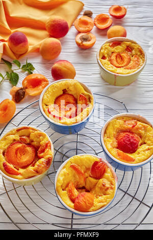 Köstliche französische Sommer dessert Gebackene Aprikosen clafoutis in Förmchen auf einem Rack und auf einem weißen Tisch mit frischen Aprikosen, vertikale Ansicht fr Stockfoto