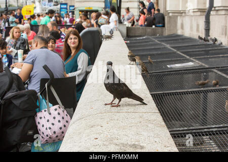 Touristen außerhalb ein Cafe auf der South Bank, mit Tauben und Stare scavenging Essen, London, UK. Stockfoto