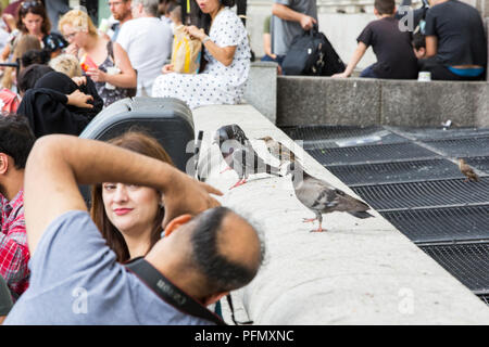 Touristen außerhalb ein Cafe auf der South Bank, mit Tauben und Stare scavenging Essen, London, UK. Stockfoto