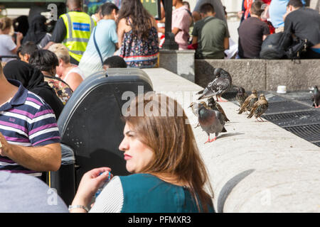 Touristen außerhalb ein Cafe auf der South Bank, mit Tauben und Stare scavenging Essen, London, UK. Stockfoto