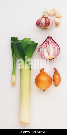 Lauch, Frühlingszwiebeln, eine halbe rote Zwiebel, weiße Zwiebel, Knoblauch und Gewürznelken, Schalotte. Stockfoto