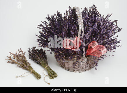 Großen Korb von Lavendel mit zwei kleinen Trauben daneben mit dem Bindfaden, Pink Ribbon. Stockfoto