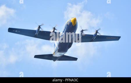 U.S. Navy Flight Demonstration Squadron, die Blue Angels, C-130 Transportflugzeuge, liebevoll bekannt als Fat Albert, fliegen über den Lake Washington während Seafair Festival 2018. Der Blaue Engel sind geplant mehr als 60 Demonstrationen an mehr als 30 Standorten in den USA und Kanada im Jahr 2018 durchzuführen. (U.S. Marine Foto von Mass Communication Specialist 1. Klasse Daniel M. Young/Freigegeben) Stockfoto