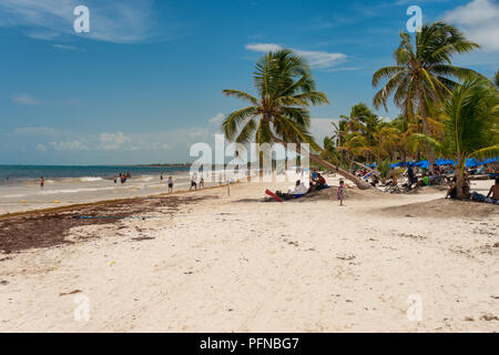Tulum, Mexiko - 12. August 2018: Blick auf Playa Paraiso Beach in der Nähe von Tulum. Stockfoto