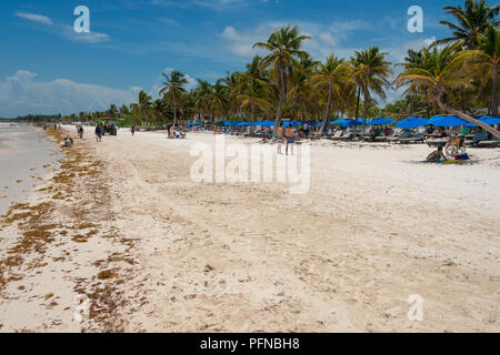 Tulum, Mexiko - 12. August 2018: Blick auf Playa Paraiso Beach in der Nähe von Tulum. Stockfoto
