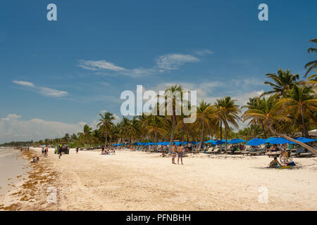 Tulum, Mexiko - 12. August 2018: Blick auf Playa Paraiso Beach in der Nähe von Tulum. Stockfoto