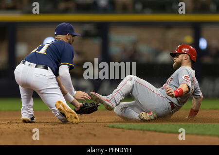 Milwaukee, Wisconsin, USA. 21. August 2018: Cincinnati Reds catcher Tucker Barnhart#16 ist heraus geworfen, die versuchen, die zweite Basis während der Major League Baseball Spiel zwischen den Milwaukee Brewers und die Cincinnati Reds am Miller Park in Milwaukee, WI zu stehlen. John Fisher/CSM Credit: Cal Sport Media/Alamy leben Nachrichten Stockfoto