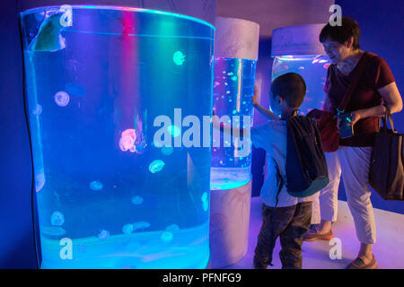 Shanghai, Shanghai, China. 22 Aug, 2018. Shanghai, China - eine marine Kunst Ausstellung in einer Shopping Mall in Shanghai, China, statt. Die Ausstellung wird von Illustrationen von Meerestieren gezeichnet von deutsche Biologe Ernst Haeckel inspiriert. Credit: SIPA Asien/ZUMA Draht/Alamy leben Nachrichten Stockfoto