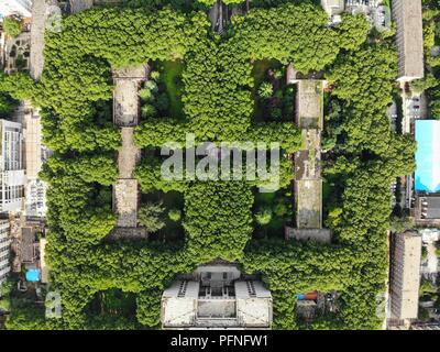 Zhengzhou, Zhengzhou, China. 22 Aug, 2018. Zhengzhou, China - das "Labyrinth" der Bäume zu Zhengzhou University in Zhengzhou gesehen werden können, die Zentrale China Provinz Henan. Credit: SIPA Asien/ZUMA Draht/Alamy leben Nachrichten Stockfoto