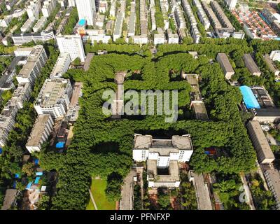 Zhengzhou, Zhengzhou, China. 22 Aug, 2018. Zhengzhou, China - das "Labyrinth" der Bäume zu Zhengzhou University in Zhengzhou gesehen werden können, die Zentrale China Provinz Henan. Credit: SIPA Asien/ZUMA Draht/Alamy leben Nachrichten Stockfoto