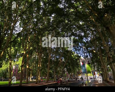 Zhengzhou, Zhengzhou, China. 22 Aug, 2018. Zhengzhou, China - das "Labyrinth" der Bäume zu Zhengzhou University in Zhengzhou gesehen werden können, die Zentrale China Provinz Henan. Credit: SIPA Asien/ZUMA Draht/Alamy leben Nachrichten Stockfoto