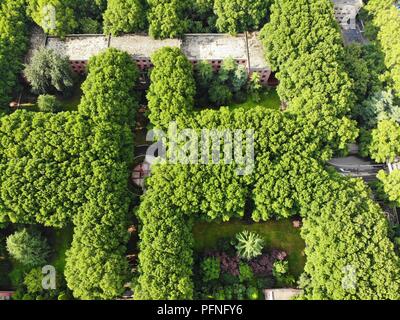 Zhengzhou, Zhengzhou, China. 22 Aug, 2018. Zhengzhou, China - das "Labyrinth" der Bäume zu Zhengzhou University in Zhengzhou gesehen werden können, die Zentrale China Provinz Henan. Credit: SIPA Asien/ZUMA Draht/Alamy leben Nachrichten Stockfoto