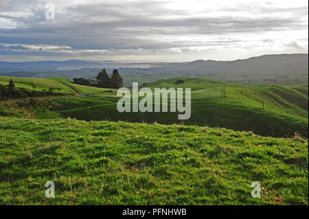 17. 29 Apr, 2018. Ackerland an der Westküste der Nordinsel von Neuseeland, im April 2018 | Verwendung der weltweiten Kredit aufgezeichnet: dpa/Alamy leben Nachrichten Stockfoto