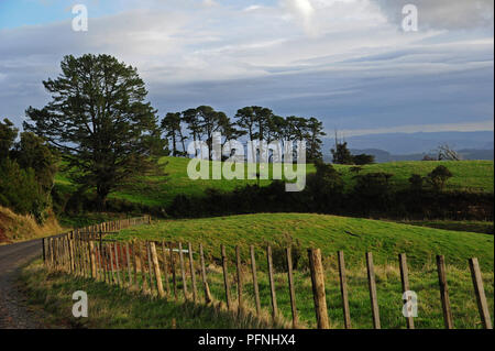 17. 29 Apr, 2018. Ackerland an der Westküste der Nordinsel von Neuseeland, im April 2018 | Verwendung der weltweiten Kredit aufgezeichnet: dpa/Alamy leben Nachrichten Stockfoto