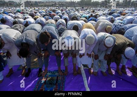 August 22, 2018 - Srinagar, J&K, -kaschmirische Muslime während des Eid al-Adha, hat keine bestimmte Gebete gesehen. Das Festival der Eid al-Adha, hat keine bestimmte Zeitdauer und war mit religiösem Eifer in Jammu und Kaschmir gefeiert. Muslime aus allen Lebensbereichen ein beeline für Eidgahs (Gebet) und Moscheen Eid Gebete zu bieten. Auseinandersetzungen ausgebrochen zwischen Kaschmirischen Demonstranten und den Sicherheitskräften in einigen Teilen der Kaschmir-tal unmittelbar nach dem Eid Gebete endete, die gegen die Inder Regel protestierten. Credit: Saqib Majeed/SOPA Images/ZUMA Draht/Alamy leben Nachrichten Stockfoto