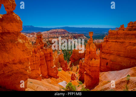 Große Türme geschnitzten entfernt, die durch Erosion im Bryce Canyon National Park, Utah, USA. Die größte Spire ist Thor's Hammer genannt. Stockfoto