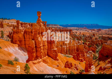 Große Türme geschnitzten entfernt, die durch Erosion im Bryce Canyon National Park, Utah, USA. Die größte Spire ist Thor's Hammer genannt. Stockfoto