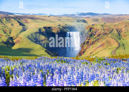 Berühmten Wasserfall Skogafoss Stockfoto