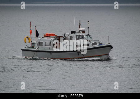 Grau Schwan, geglaubt, ein Ministerium der Verteidigung basieren in Faslane sein, Greenock während der Übung gemeinsame Krieger 18-1. Stockfoto