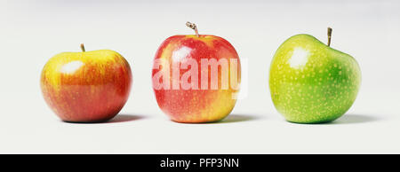 Malus pumila, zwei roten und einem grünen Apfel Seite an Seite Stockfoto