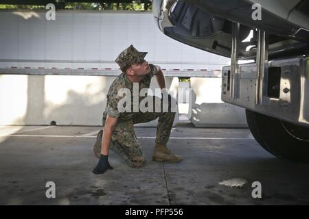 Ein Marine führt ein Fahrzeug Inspektion ist Teil der Sicherheit Augmentation Force Training an Bord Marine Corps Recruit Depot Parris Island am 23. Mai. Die SAF ist ein Detail der Marines vom Hauptsitz und Sitz Squadron ausgewählt Der Provost Marshal Office in Zeiten der Not oder natuaral Katastrophe zu unterstützen. Die Marines sind mit H&HS an Bord der Marine Corps Air Station Beaufort. Stockfoto