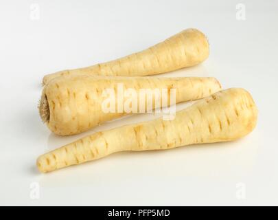 Drei Pastinaken Stockfoto