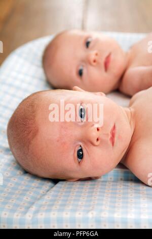 11 Woche alt Twin Baby Junge und Mädchen Stockfoto