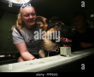 Service Hunde in der Ausbildung mit sehenden Auge Welpen Anheben Programm nahmen eine Tour mit ihren Ausbildern an Bord der USS Arlington LPD (24) während der Fleet Week New York, 24. Mai 2018. Flotte Woche NYC ist eine Gelegenheit für die amerikanische Öffentlichkeit ihre Marine Corps, Navy und der Coast Guard Teams zu treffen und America's Meer Dienstleistungen Erfahrung. Stockfoto