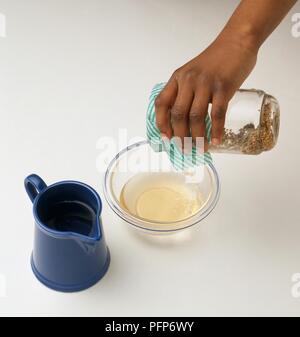 Alfalfa Samen über Nacht in den jar getränkt, Wasser geschüttet wurde durch Tuch in eine Schüssel, close-up Stockfoto