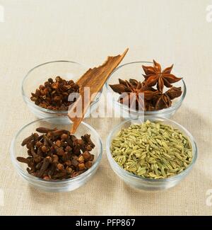 Nelken, Sternanis, Fenchelsamen, Kassia, Rinde, Sichuan Pfeffer, Zutaten für 5-spice Pulver, in Glasschalen Stockfoto