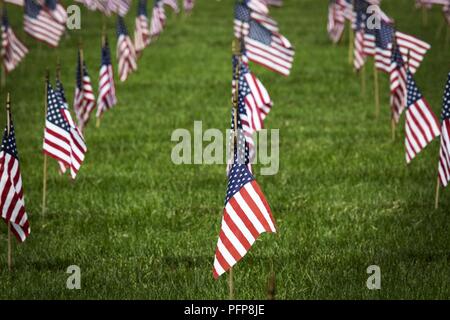 Amerikanische Fahnen von den Pfadfindern und Pfadfinderinnen platziert Mark die Grabsteine an der Brigadier General William C. Doyle Memorial Cemetery, Wrightstown, N.J., 26. Mai 2018. (New Jersey National Guard Stockfoto