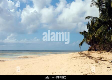 Afrika, Kenia, Shelly Beach, verlassenen Strand mit Palmen und Wolken über gefüttert Stockfoto