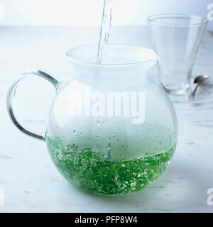 Gießen heißes Wasser in die Teekanne mit Kräutertee, Glas im Hintergrund Stockfoto