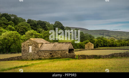 Swaledale in den Yorkshire Dales National Park seinen oberen Teile besonders auffällig sind wegen der großen alten Kalkstein Feld Scheunen, Wände aus Stein Stockfoto